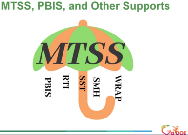 MTSS, PBIS, and Other Supports Graphic 